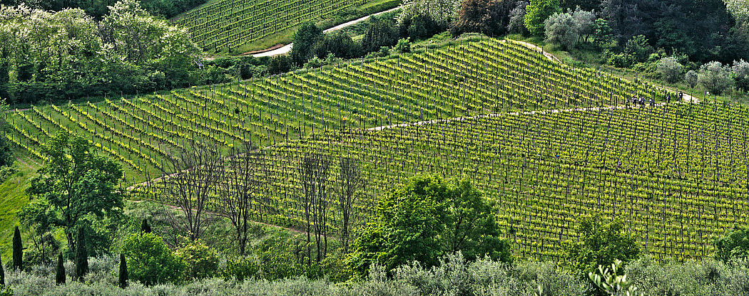 Percorso Sentieri delle colline