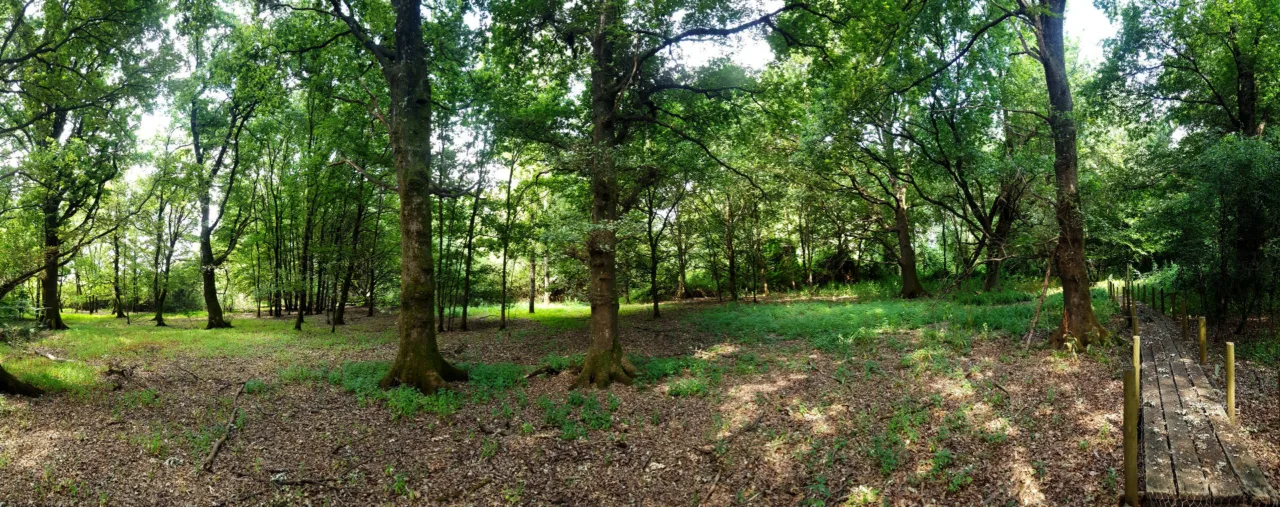 Oasi WWF del Bosco del Bottaccio