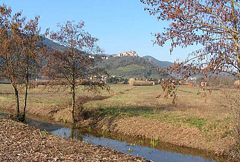 Un canale nella zona dell'alveo dell'ex Lago di Bientina