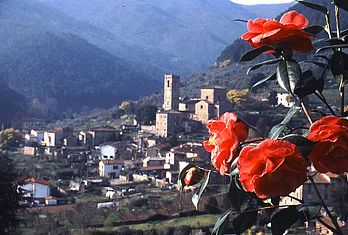 Il borgo delle Camelie sorge sul Monte Pisano