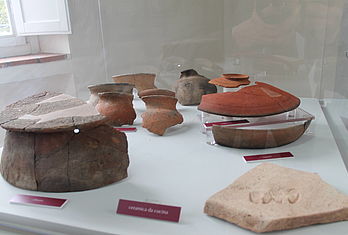 Alcuni reperti presenti nel museo