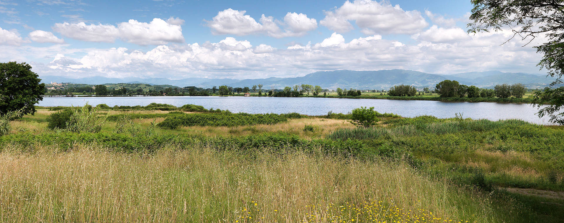 veduta lago della gherardesca