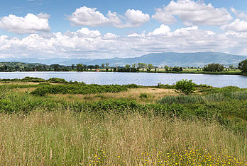 Il lago della Gherardesca