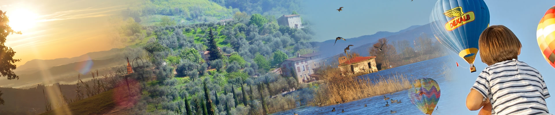 Capannori, una terra da sogno